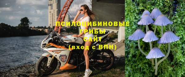 мяу мяу мука Алексин