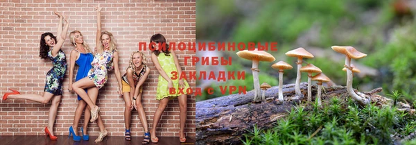 мяу мяу мука Алексин