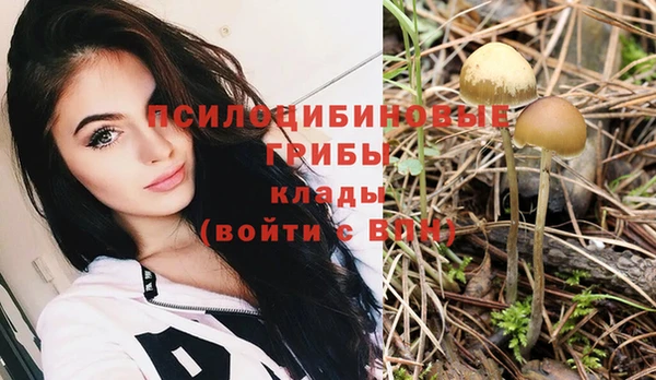 прущие грибы Алексеевка