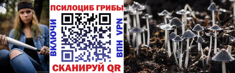Галлюциногенные грибы мицелий  Обнинск 